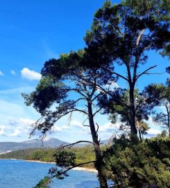 Çamlıkoy Sahili Kamp Alanı