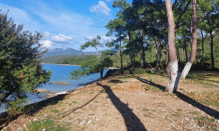 Çamlıkoy Sahili Kamp Alanı