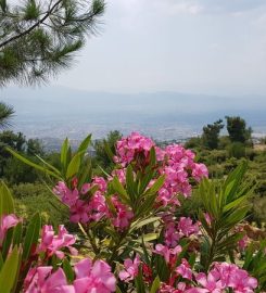 Şarlan Tabiat Parkı Kamp Alanı