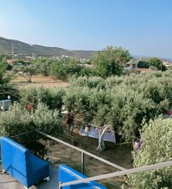 Avşa Camping