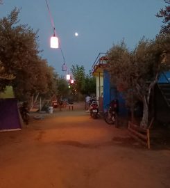 Avşa Camping