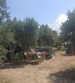 Avşa Camping