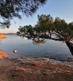 Ayvalık Akvaryum Koyu Kamp Alanı