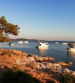 Ayvalık Akvaryum Koyu Kamp Alanı