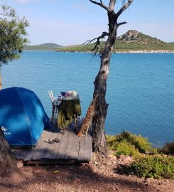 Ayvalık Camping (Çadır,Karavan)