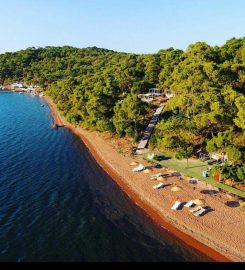 Ayvalık Camping (Çadır,Karavan)