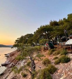 Ayvalık Camping (Çadır,Karavan)