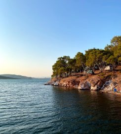 Ayvalık Camping (Çadır,Karavan)