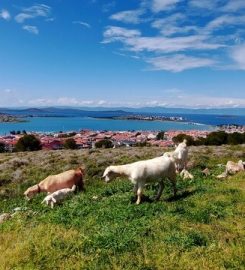 Cennet Tepesi Kamp Alanı