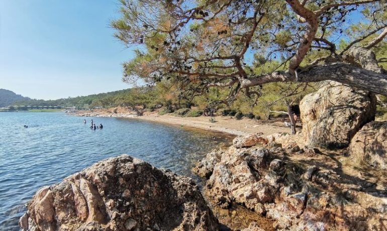 Cunda Halk Plajı Kamp Alanı