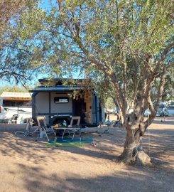 Ginger Camping