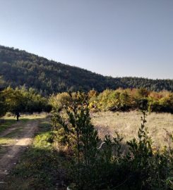 Hasanağa Barajı Kamp Alanı