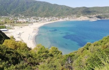 Turan Köyü Plajı Kamp Alanı