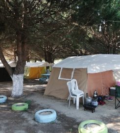 Çamlıkaltı Camping Cafe