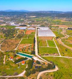 Bademler Doğal Yaşam Köyü Kamp Alanı