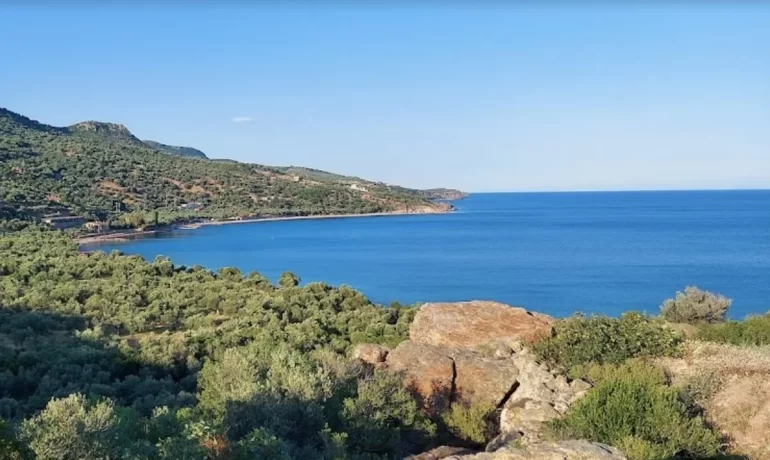 Bademli Köyü Sahil Yolu Kamp Alanı