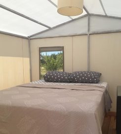 Salkım Saçak Camping