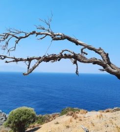 Sarpancık Deniz Feneri Kamp Alanı