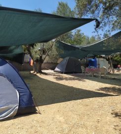 Zeytindalı Camping