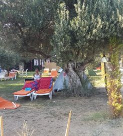 Zeytindalı Camping