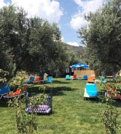 Zeytindalı Camping