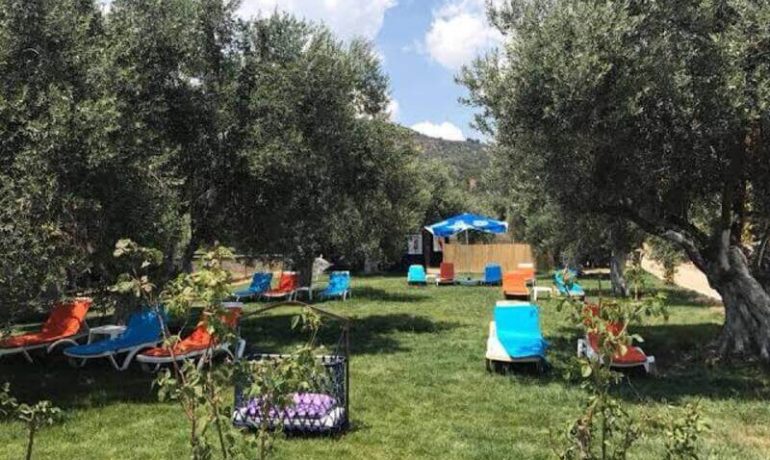 Zeytindalı Camping