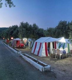 Zeytindalı Camping