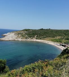 Şile Karacaköy Plajı Kamp Alanı