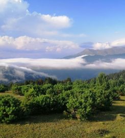 Danzot Tatil Köyü