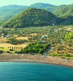 Eden Bungalows and Beach