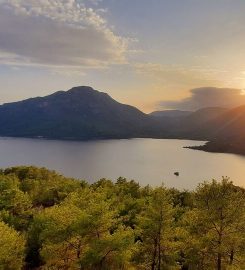 Köyceğiz Gölü Kamp Alanı