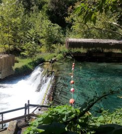 Yuvarlakçay Çınar Camping