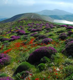 Ahir Dağı Kamp Alanı