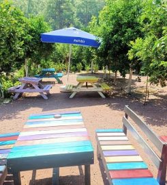 Asilay Camping Olympos