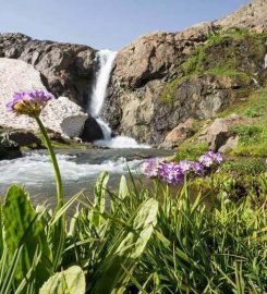 Cilo Dağı Kamp Alanı