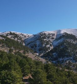 Davraz Dağı Kamp Alanı