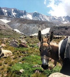 Erciyes Çobanini Kamp Alanı