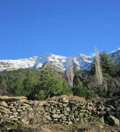 Kadınlar Çayırı (Bozdağ) Kamp Alanı