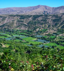 Kadınlar Çayırı (Bozdağ) Kamp Alanı