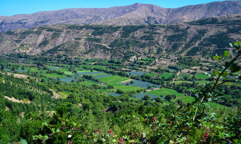 Kadınlar Çayırı (Bozdağ) Kamp Alanı