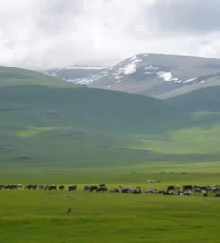 Kısır Dağı Kamp Alanı