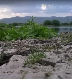 Kura Nehri Kamp Alanı