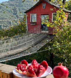 Yuvacık Kazlı Bahçe Bungalov