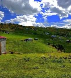 Kayabaşı Tabiat Parkı Kamp Alanı