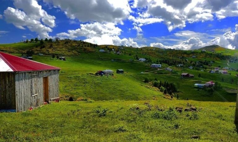 Kayabaşı Tabiat Parkı Kamp Alanı