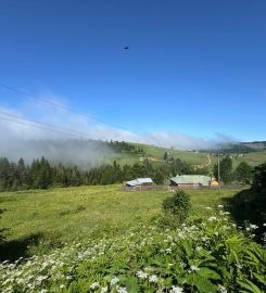 Mavura (Şolma) Yaylası Kamp Alanı