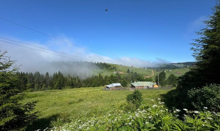 Mavura (Şolma) Yaylası Kamp Alanı