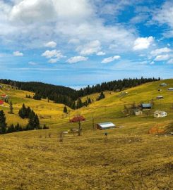 Mavura (Şolma) Yaylası Kamp Alanı