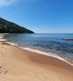 Bozköy Plajı Kamp Kamp Alanı