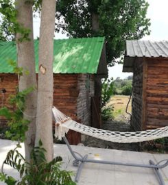 Lime Tree Houses